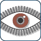 Intrusion Detection